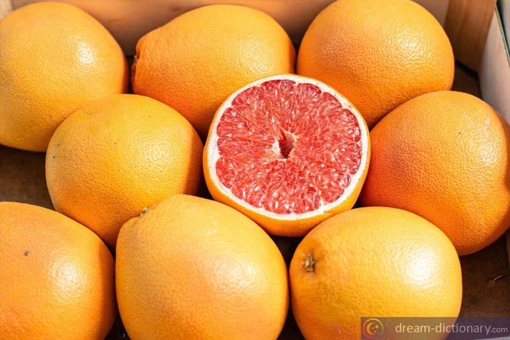 Grapefruit 5 dreaming about grapefruit