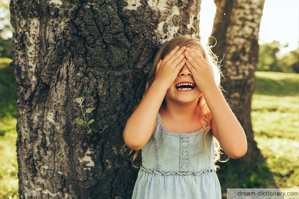 dream meaning Hide And Seek