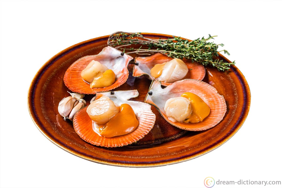 Scallop Dream meaning