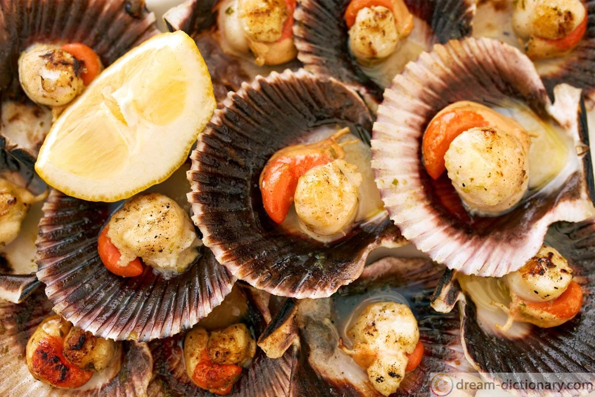 Scallop Dream meaning