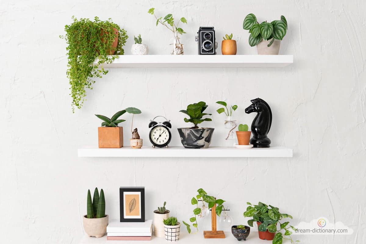 dream meaning Shelf