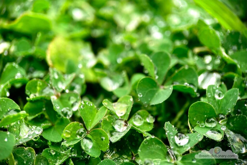 Sorrel 7 Spiritual meaning of Sorrel