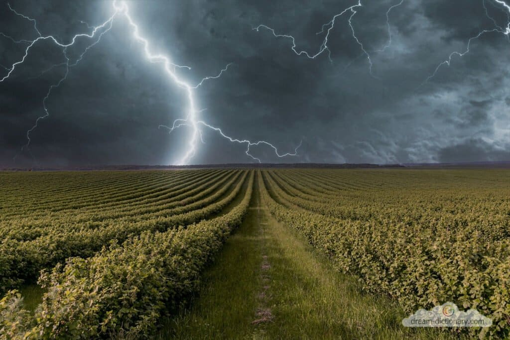 Storm 5 Lighting Storm
