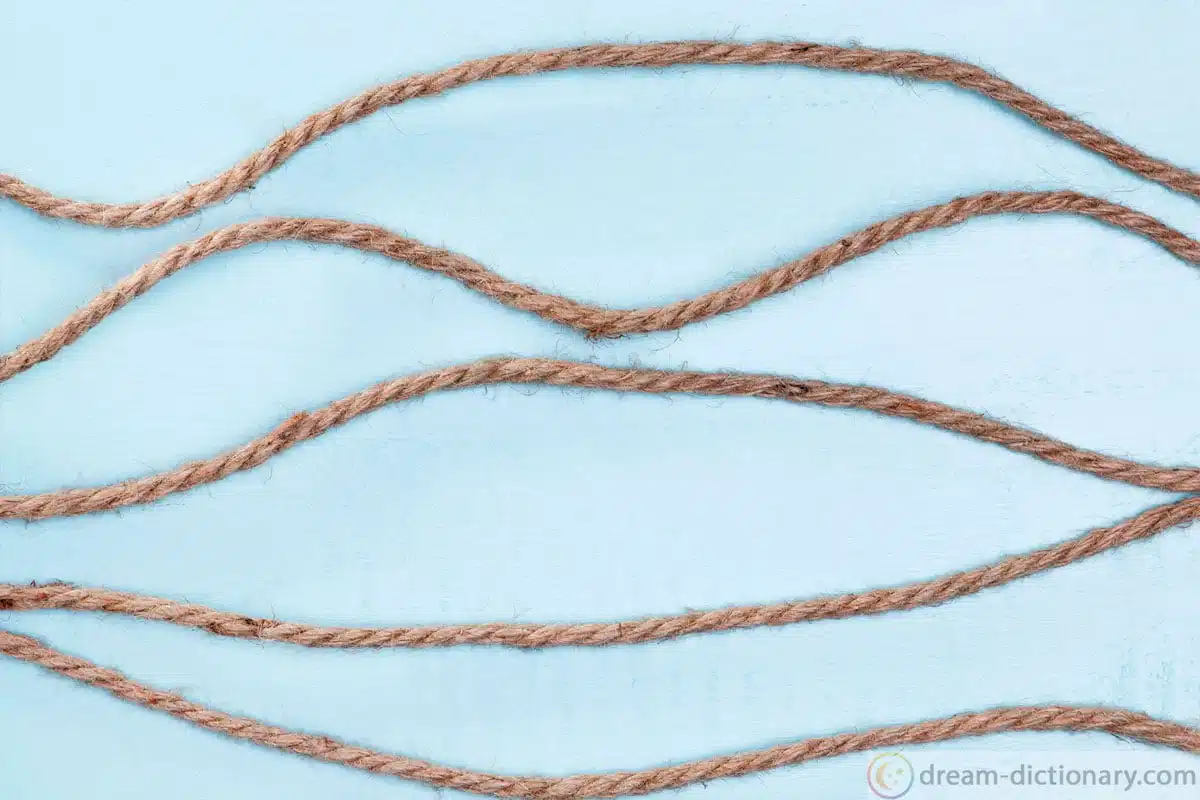 dream meaning Twine